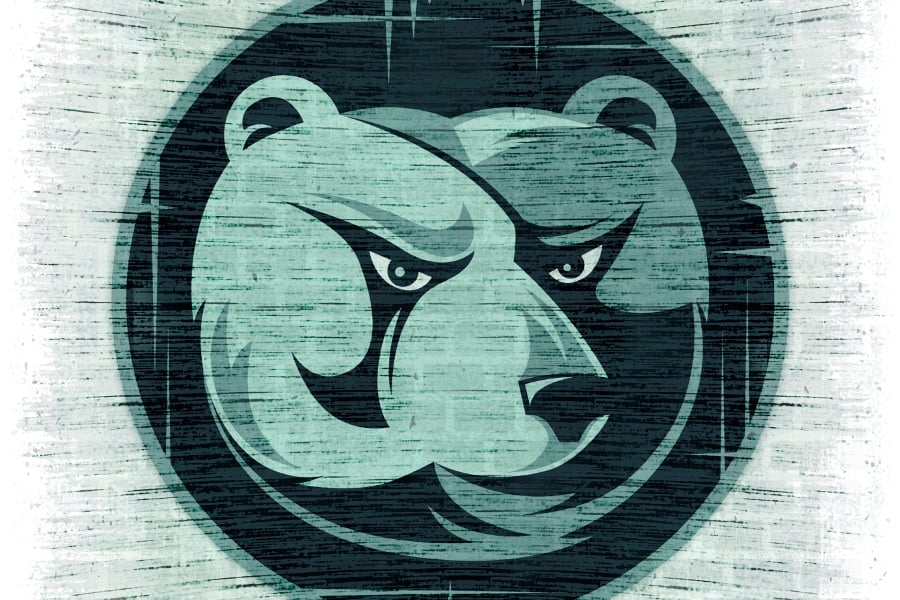 Bear market ahead? Here's what to expect
