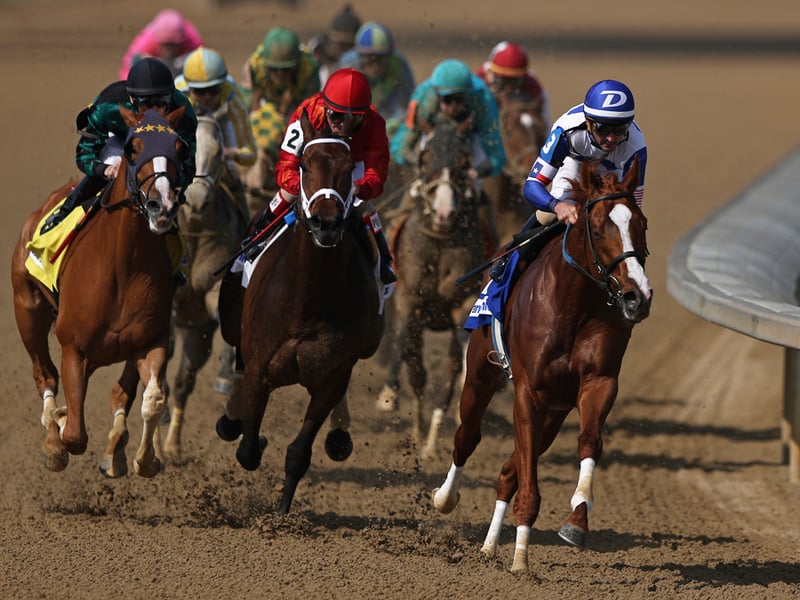 American Pharoah's Triple Crown chances aside, most racehorses consume more than they pay out