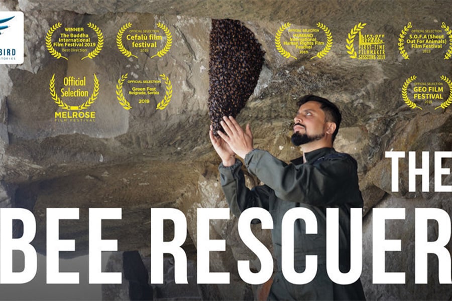 Spotlighting sustainability