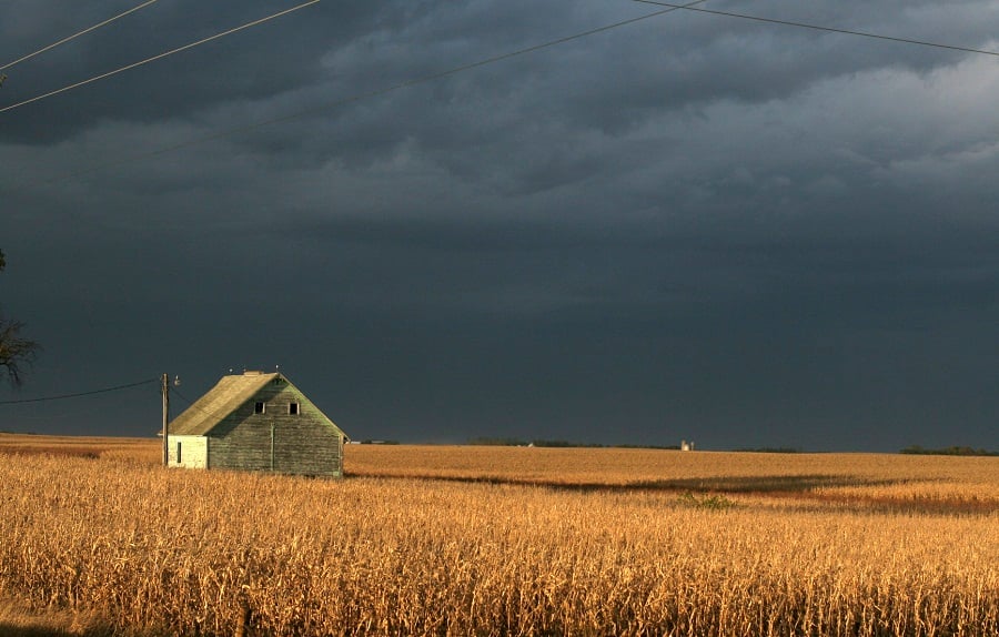 How we invest in farmland: An introduction to Nuveen's global agricultural sustainability approach