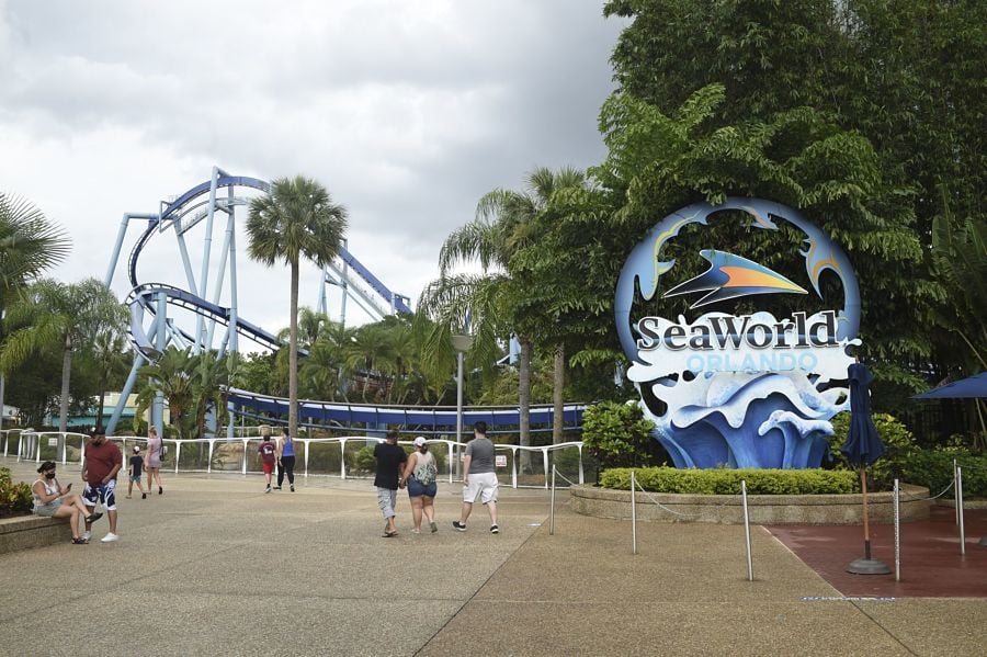 Plaintiffs make a splash in SeaWorld 401(k) lawsuit
