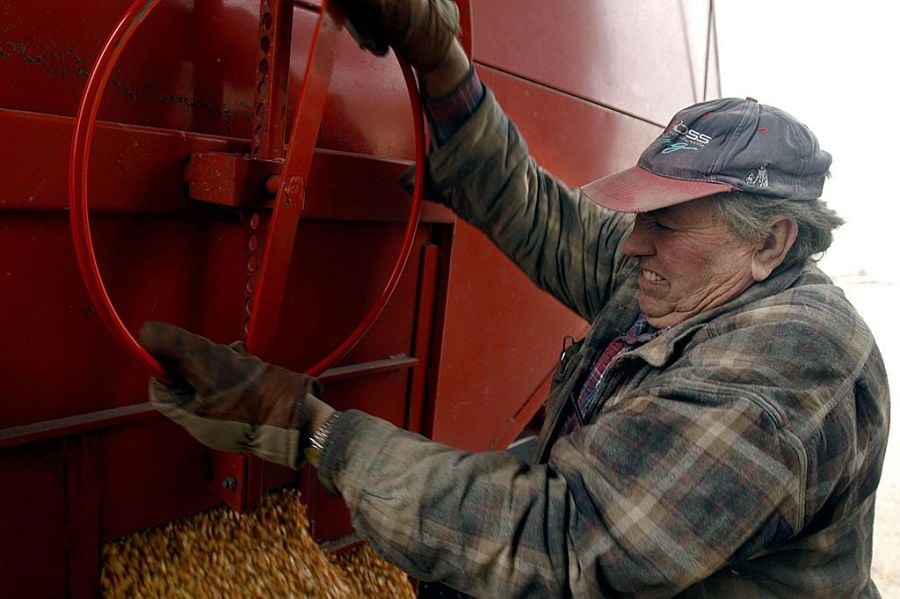 Where you live correlates with old-age employment: Report