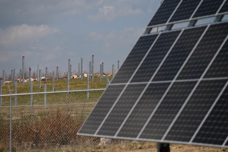 Dimensional’s ESG boss voices doubts over industry promises