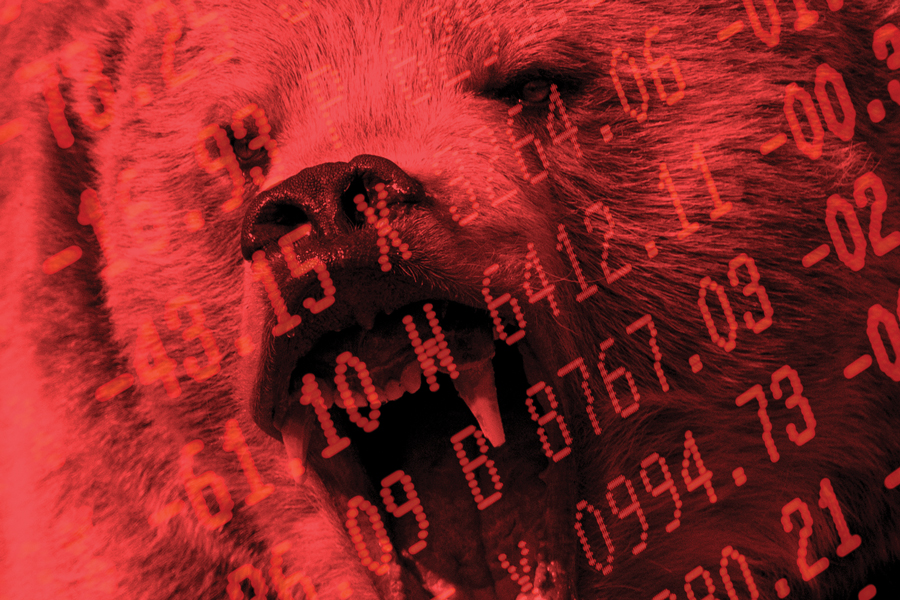 A bear market is not the time to hibernate