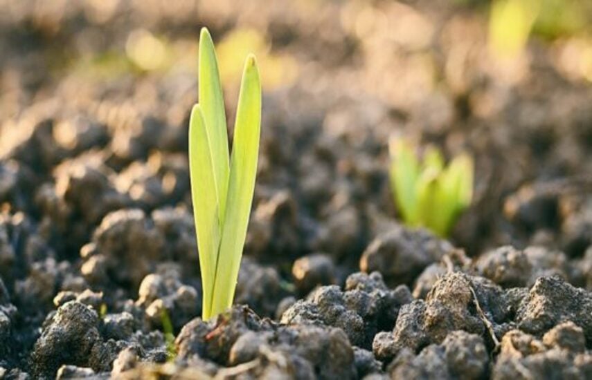 Calamos plans ESG fund named after NBA star