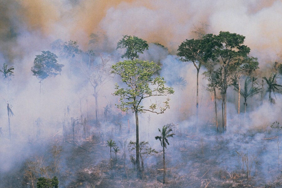 Climate change could cut asset values by more than half