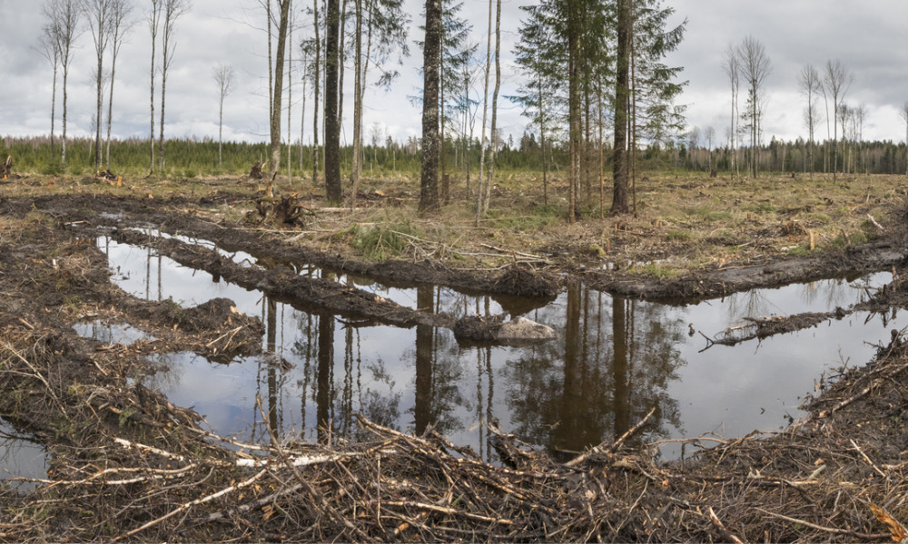 Curb biodiversity losses, $24T investors urge global firms