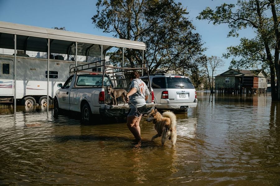 Deutsche Bank exec warns of growing climate risk