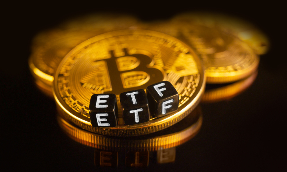 BlackRock introduces its bitcoin ETF into model portfolios - Investment ...