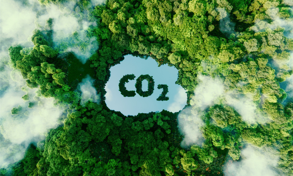 Carbon emissions reach record high despite renewables gains