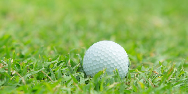 South Wales to host FSE and golf day