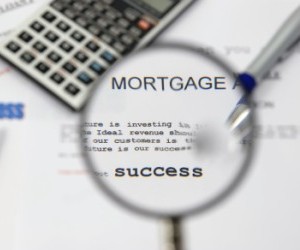 Consumers on the hunt for trustworthy mortgage brokers