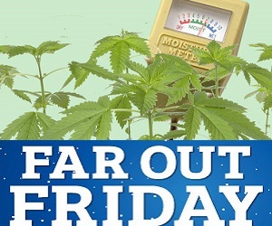 Far Out Friday: Mortgage fraudster is a real dope