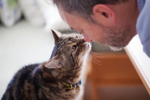 Why home finance researchers have studied homeowners' pets