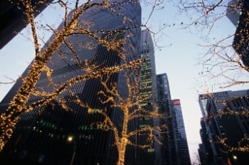 Twas the Night Before Christmas 2009 By Martin Andelman
