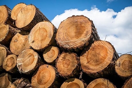 Lumber tariffs “another tax on homebuyers” says NAHB chief