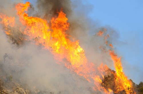 ASIC  releases Wye River bushfire report