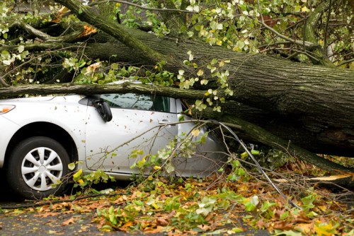 No-fault insurance scheme in surplus