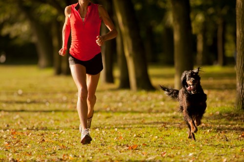 PetSure partners with FitBark