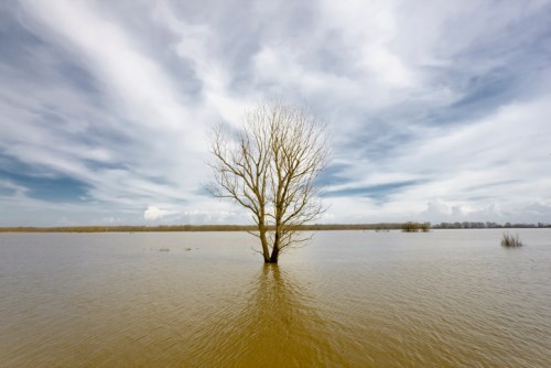 ICNZ chief on adapting to climate change