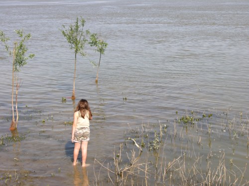 More consultation needed to aid mitigation