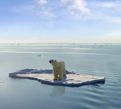 Climate Change and your client