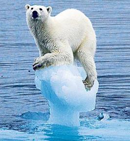 Expert Advice:  You can make your clients ‘Climate Smart’