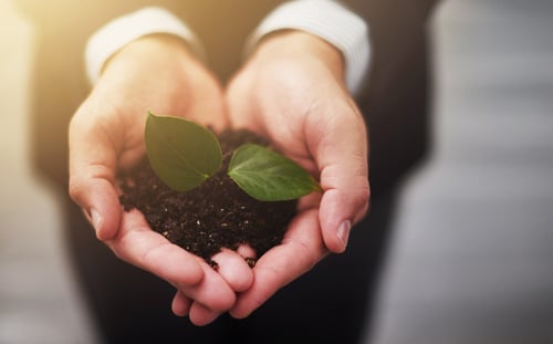 The growing importance of corporate responsibility