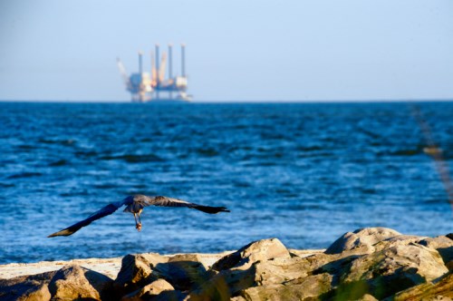 Look “long term” for oil and gas coverage: Energy Broker