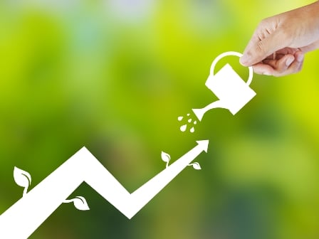 10 lessons from a small business owner