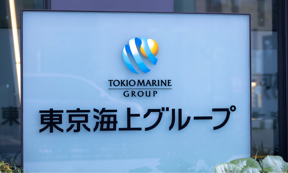 Tokio Marine HCC names Megann Pfeffer to lead public risk group ...