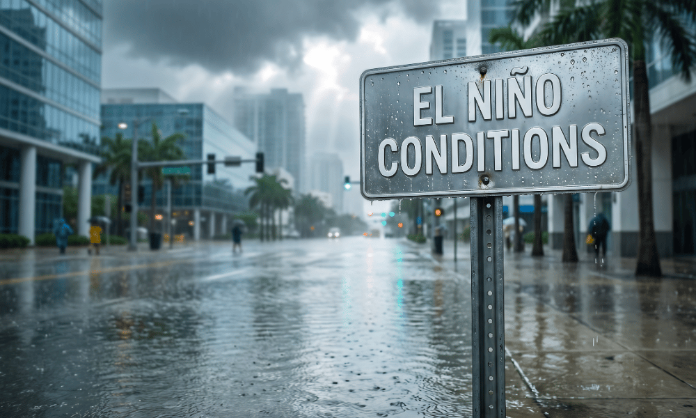 The strongest El Niño in recorded history is building. Insurers are ...