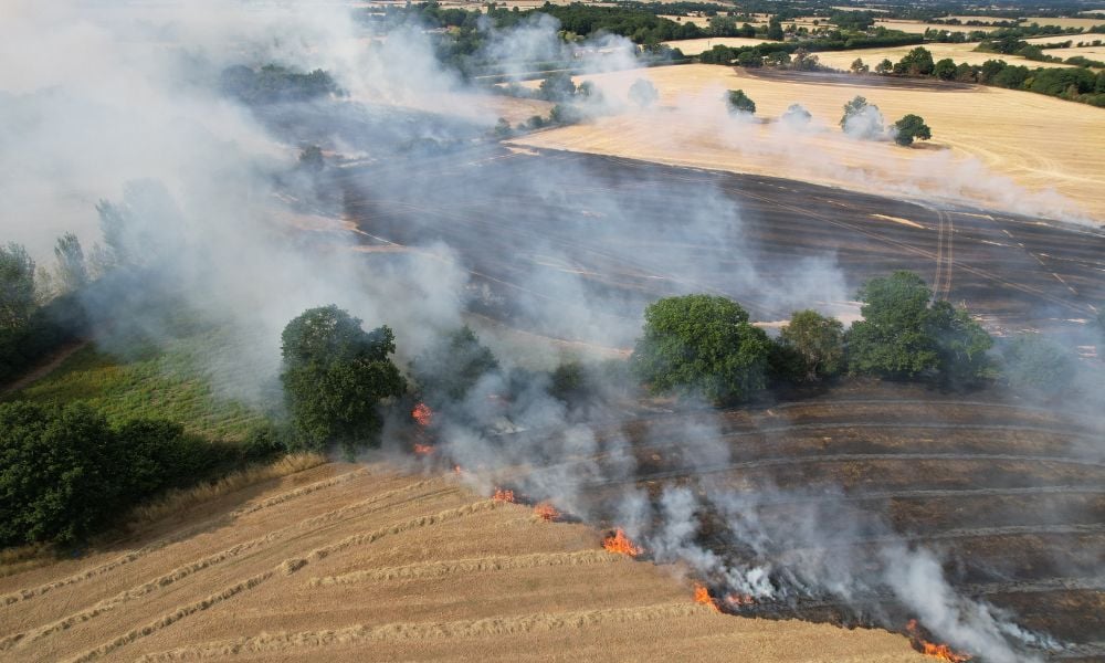 Farm fires cost UK farmers £118 million last year – and the risk is getting worse, not better   www.insurancebusinessmag.com