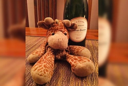 How a policyholder’s priceless possession found its way back home