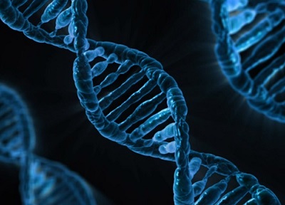 Insurance boss does DNA test – sues to claim minority status for business