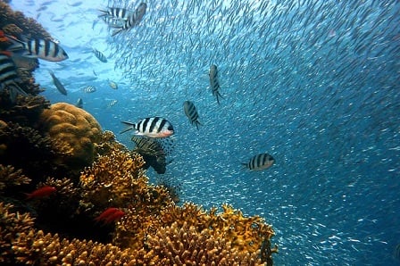 XL Catlin to co-present Ocean Risk Summit