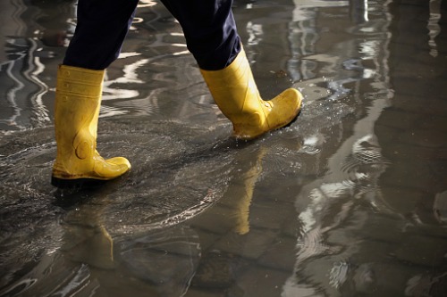 Experts: Affordable insurance, relocation incentives needed to protect against future flooding risk