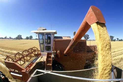 MPCI market plagued by market failure - report
