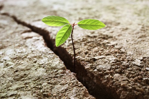 How risk resilient is your region?