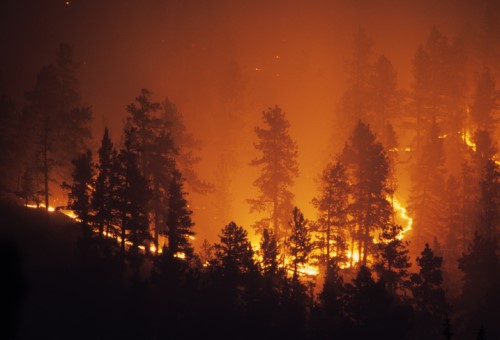 MP warns that climate change may lead to more wildfires