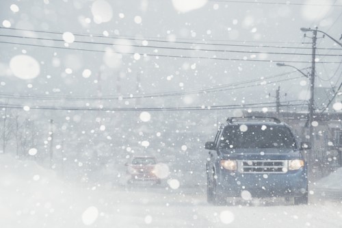Expert: Insurance should be able to cover for some polar vortex damages