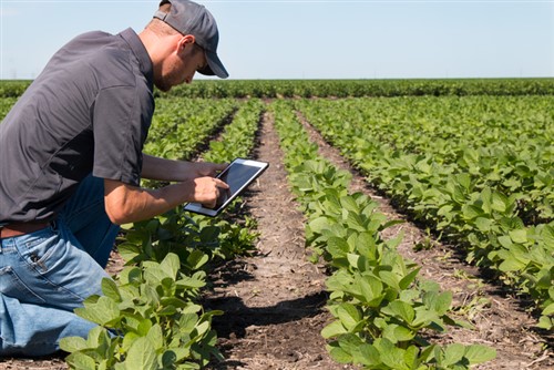 Interactive tool to help Kiwi farmers mitigate risks