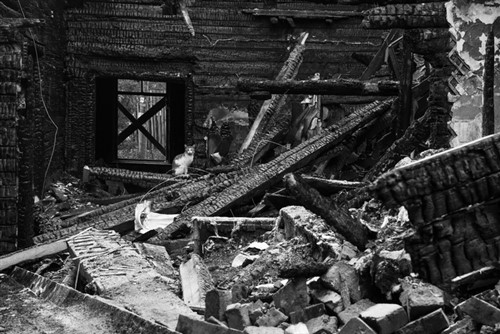 Wishful thinking has no place in earthquake risk management