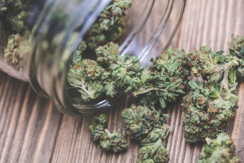Lloyd's gives go ahead to underwriters on insuring cannabis in Canada