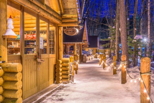 Japanese insurers target owners of private lodges