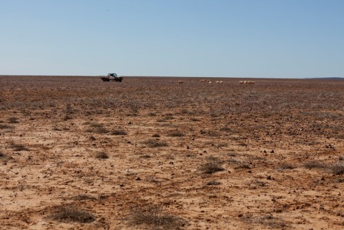 Australia will likely face more frequent extreme El Niño events - report