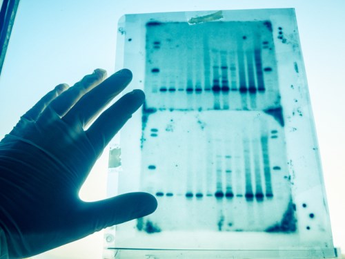HSBC Insurance unveils innovative DNA partnership