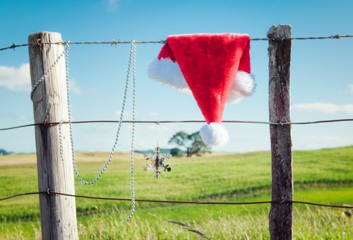 Edgecumbe claimants home for Christmas