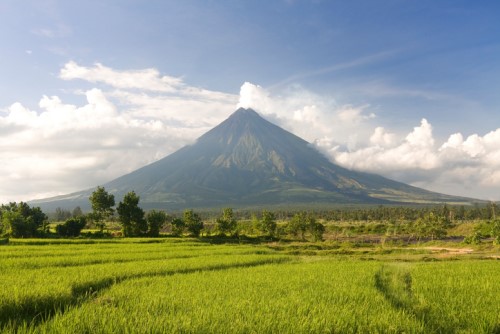 Swiss Re, Munich Re looking to take root in Philippines agri market