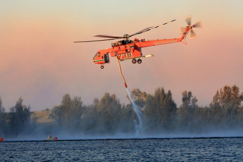 Industry body monitors bushfire damage